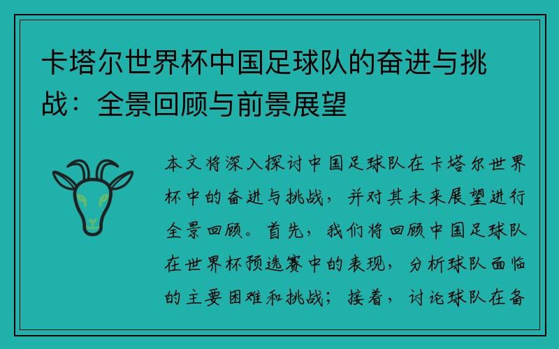 卡塔尔世界杯中国足球队的奋进与挑战：全景回顾与前景展望