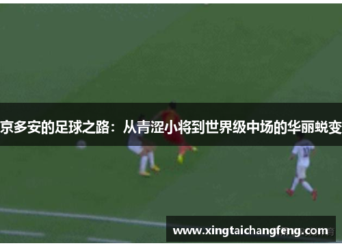 京多安的足球之路：从青涩小将到世界级中场的华丽蜕变