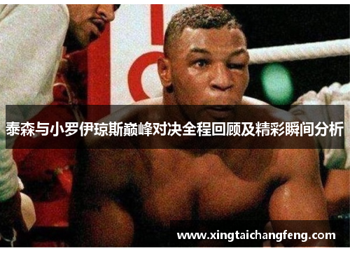 泰森与小罗伊琼斯巅峰对决全程回顾及精彩瞬间分析